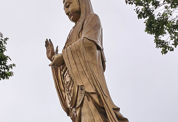 普陀山风景区第 208 张图片