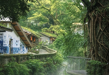 金刚碑·温泉老村第 39 张图片