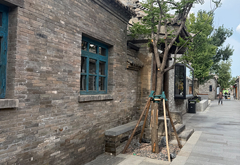 大同古城第 270 张图片