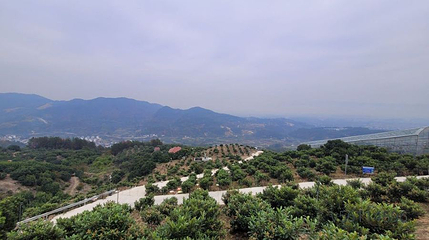 白露山滑翔伞飞行营地第 1 张图片