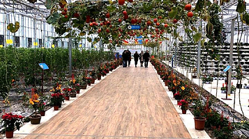 响水九丰农博园