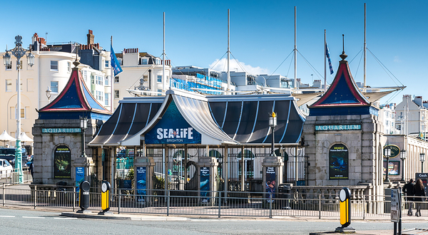 布莱顿海洋生物水族馆