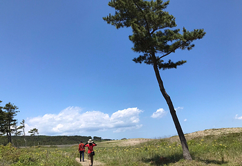 种差海岸第 7 张图片