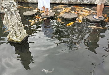 蒂尔塔冈加第 23 张图片