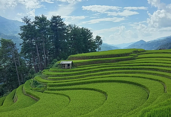 Pu Luong Nature Reserve第 2 张图片