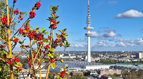 Hamburg Bunker St. Pauli