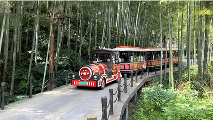 天目湖南山竹海第 146 张图片