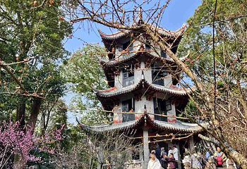 杜甫草堂第 279 张图片