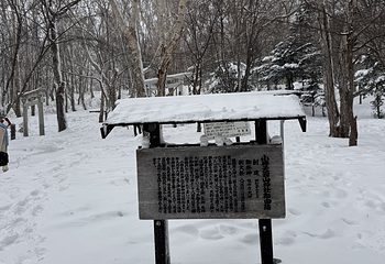 小樽天狗山第 28 张图片