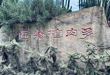 厦门园林植物园第 136 张图片
