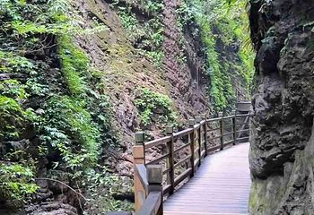 张家界大峡谷第 68 张图片