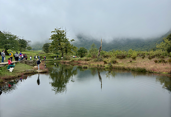 黑竹沟风景名胜区第 17 张图片
