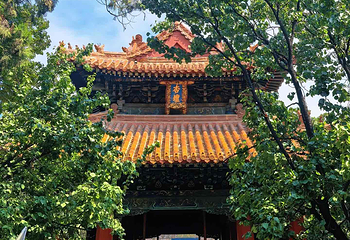孔庙第 29 张图片