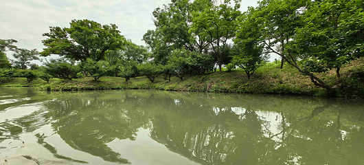 西溪国家湿地公园第 199 张图片