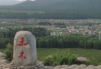 禾木风景区第 167 张图片