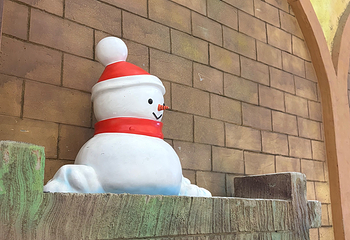 广州热雪奇迹第 263 张图片