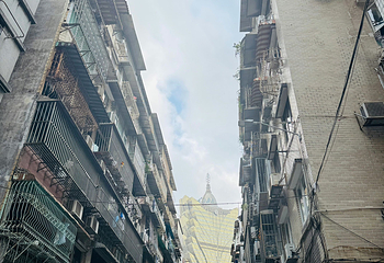 东望洋新街第 31 张图片