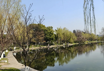 莫愁湖公园第 24 张图片
