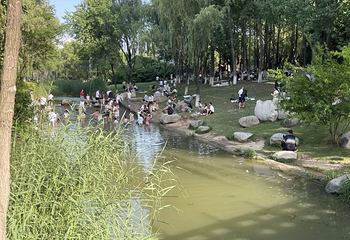 西安世博园第 165 张图片