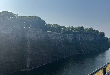 大阪城公园第 263 张图片