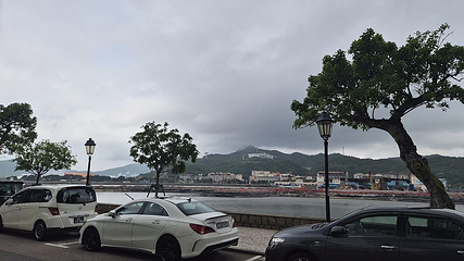 路环岛第 82 张图片