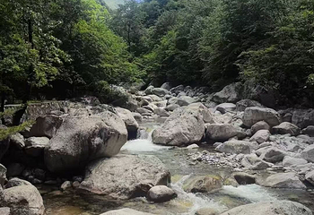 青峰峡森林公园第 22 张图片