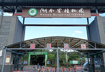 湖南省植物园第 12 张图片