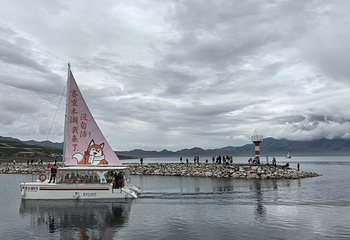 赛里木湖第 294 张图片