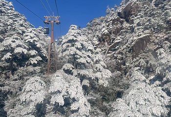 黄山风景区第 288 张图片