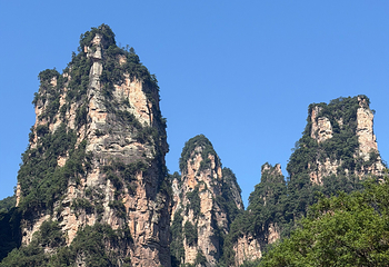 张家界大峡谷第 110 张图片