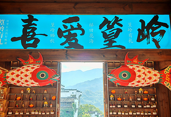 婺源篁岭景区第 151 张图片