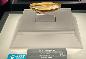 青海藏文化博物院第 192 张图片