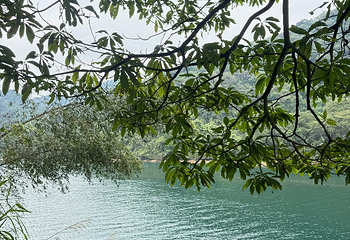 东江湖旅游区第 120 张图片
