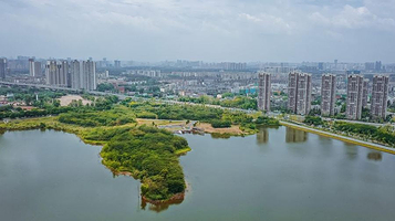 青龙湖湿地公园-一期