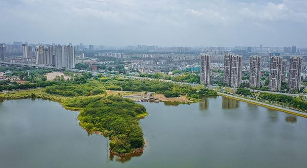 青龙湖湿地公园-一期