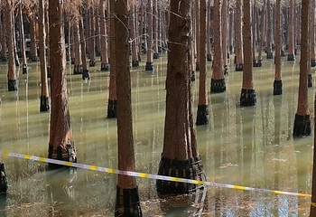 捞渔河国家湿地公园第 23 张图片