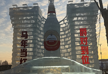 哈尔滨冰雪大世界第 899 张图片