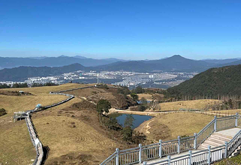 东山草原第 10 张图片