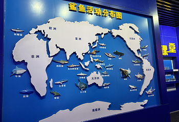 北海海底世界第 69 张图片