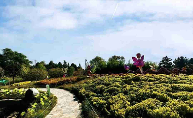 西安植物园新区第 21 张图片