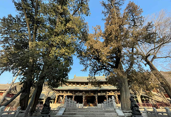 晋祠博物馆-圣母殿第 6 张图片