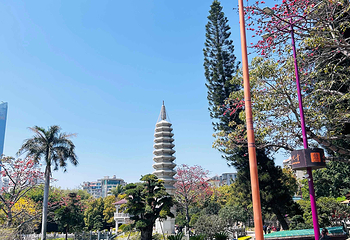 南普陀寺第 18 张图片