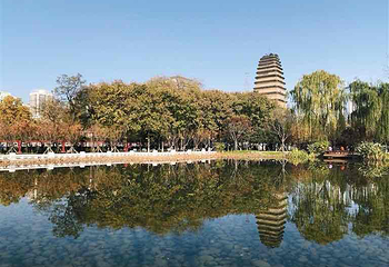 小雁塔遗址公园第 31 张图片