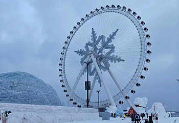 哈尔滨冰雪大世界第 437 张图片