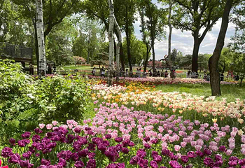 国家植物园(原北京植物园)第 20 张图片