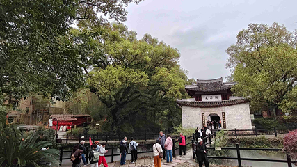 古堰画乡旅游度假区第 29 张图片