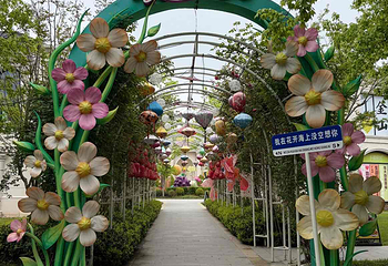 花开海上生态园第 118 张图片