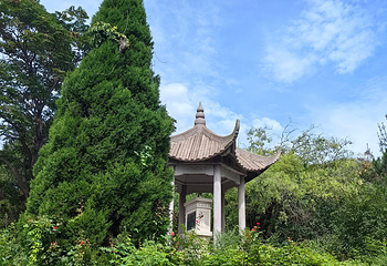 老龙头第 55 张图片