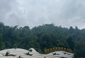 西双版纳原始森林公园第 44 张图片
