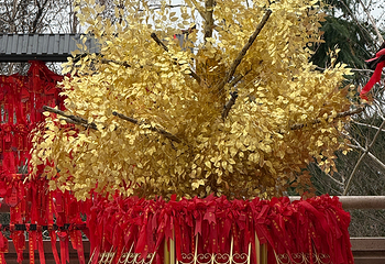 大明寺第 129 张图片